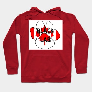 black lab name flag paw Hoodie